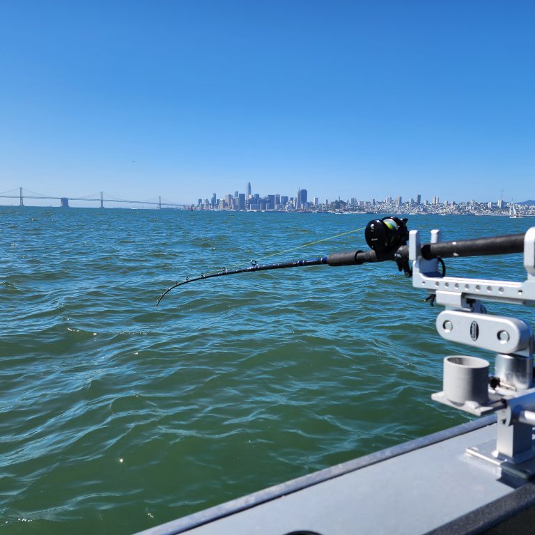 20240615 101737 West Coast Rod Holders